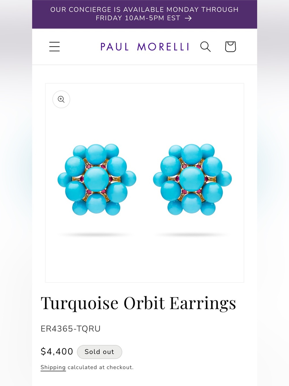 Paul Morelli Turquoise Orbit Earrings